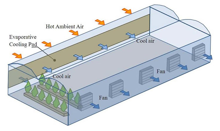 Greenhouse Exhaust Fan