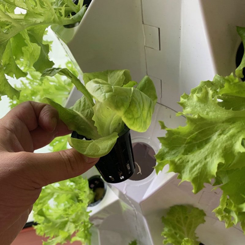 Hydroponic system