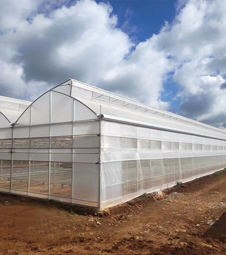 薄膜温室